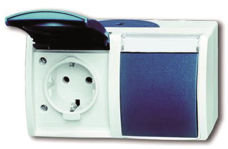 BJ APWG ocean Schuko 2fach    20/2EWN-53   +Schriftfeld waagerecht gr/bl-grü