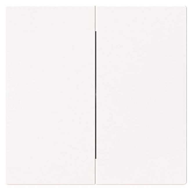 BJ Wippe geschlossen studioweiß 1785-44G f.Serienschalter Busch-art linear
