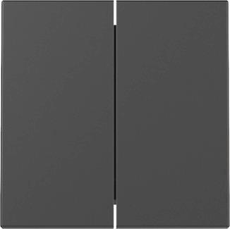 GIRA 3295005 Wippe 2fach System 55       Schwarz matt (lackiert)