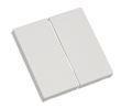 ELDAT 2 Tasten Ein/Aus RTS23-ACC-01-02P2 für Wandtaster RTS23 weiss Format 55