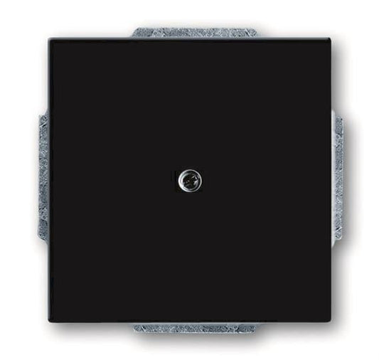 BJ carat Blindabdeckung          1742-81   anthrazit