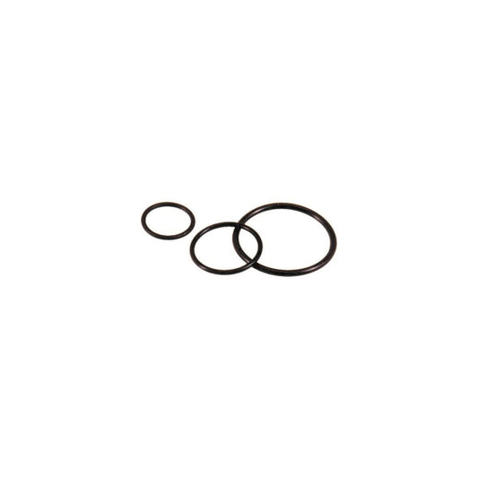 LAPP SKINDICHT O-RING M40/36x2  53102050