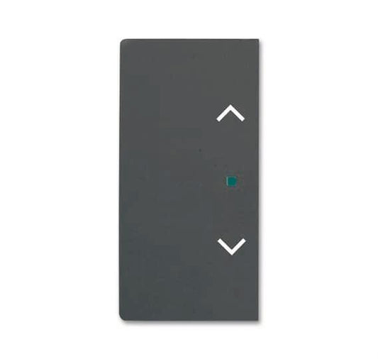 BJ Wippe 2f Jalousie schwarz 6232-20-885   matt Busch-free@home future linear