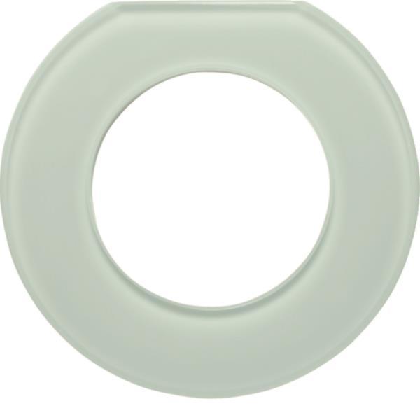 Berker Glasendrahmen 1fach Serie  109219 Glas polarweiß