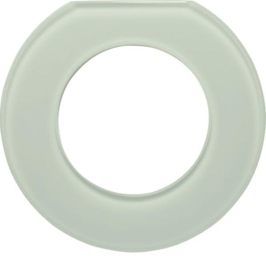 Berker Glasendrahmen 1fach Serie  109219 Glas polarweiß