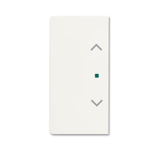 BJ Wippe 2f Jalousie matt    6232-20-884   sws Busch-free@home future linear