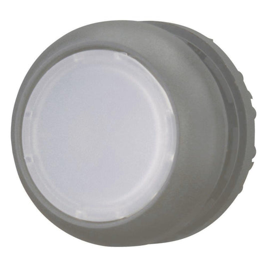 EATON M22S-DL-W Leuchtdrucktaste  216924 flach weiß tastend 216924