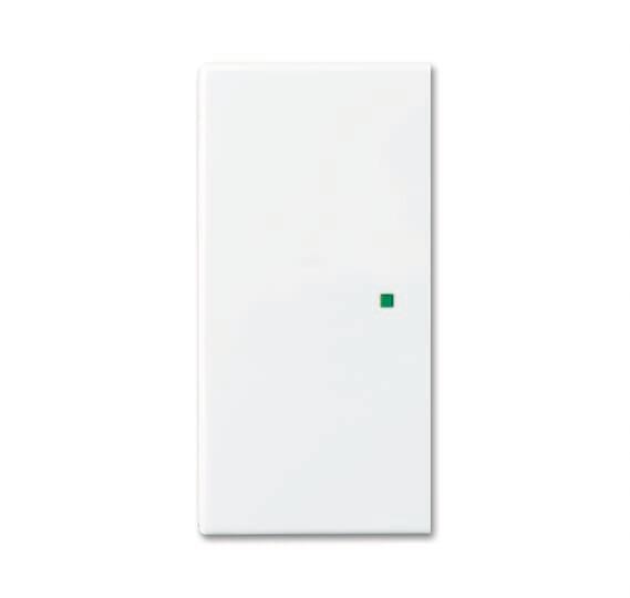 BJ Wippe 2-fach blind        6230-20-914   Busch-free@home alpinweiß balance SI