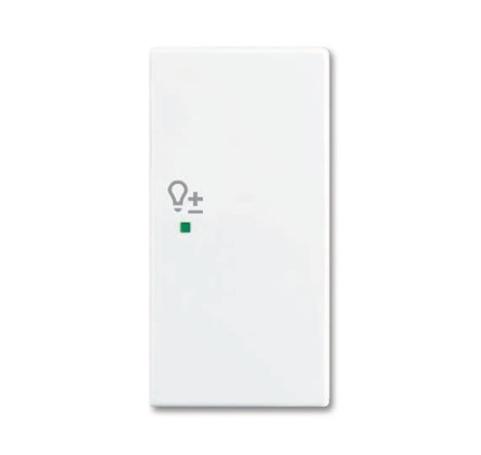 BJ Wippe/R 2f Dimmer         6234-22-914   alpinweiß Busch-free@home balance SI