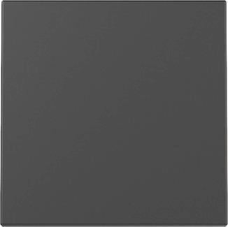 GIRA 3296005 Wippe System 55             Schwarz matt (lackiert)