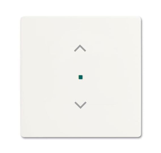 BJ Wippe 1f Jalousie matt    6232-10-884   sws Busch-free@home future linear