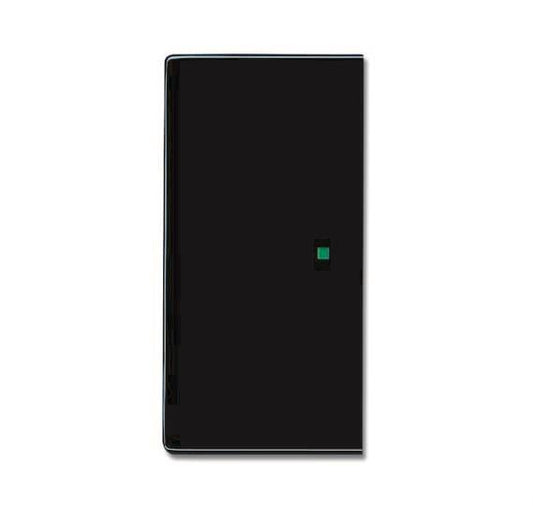 BJ Wippe 2-fach               6230-20-81   Busch-free@home anthrazit