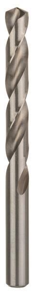 Bosch HSS-G-Spiralbohrer      2608585942 13,0x151/101mm DIN338