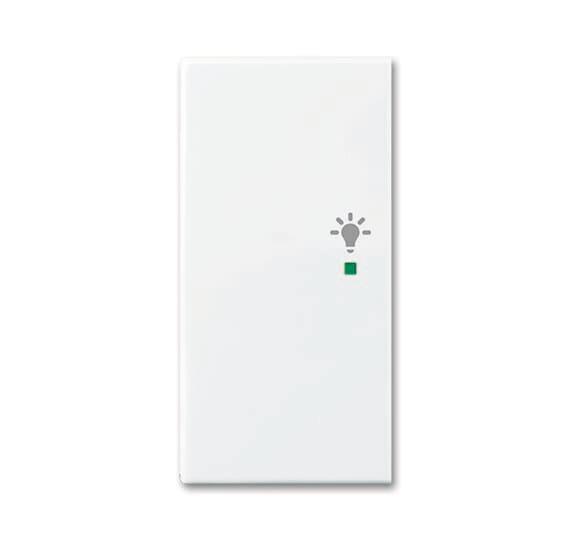 BJ Wippe/L 2-fach Licht      6231-21-914   alpinweiß Busch-free@home balance SI